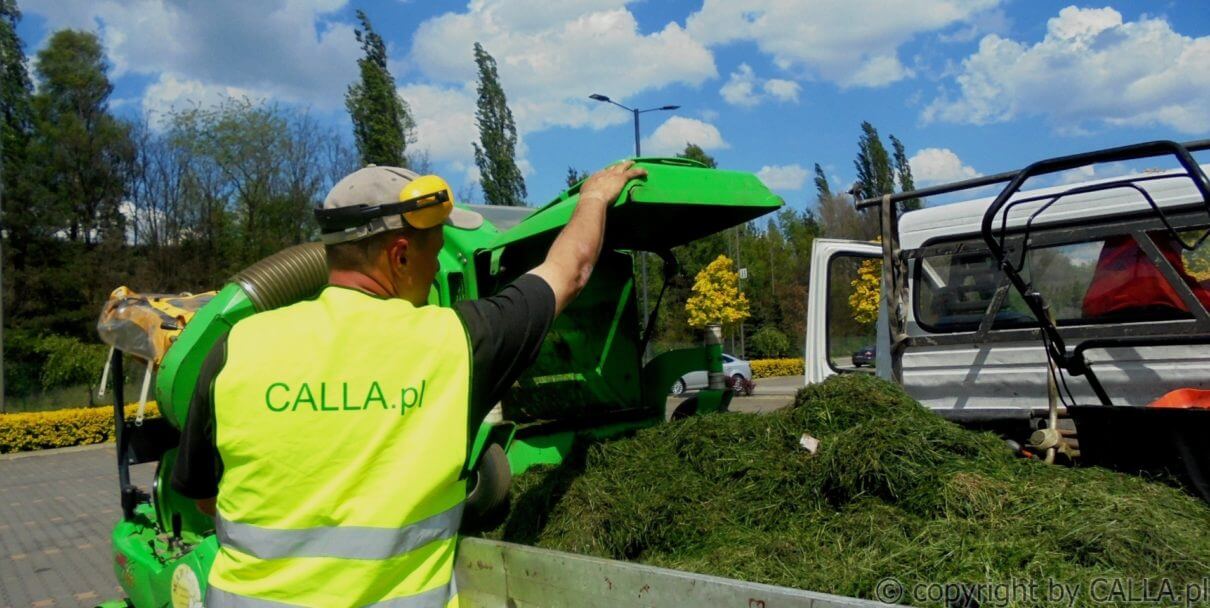 pielęgnacja CALLA 1