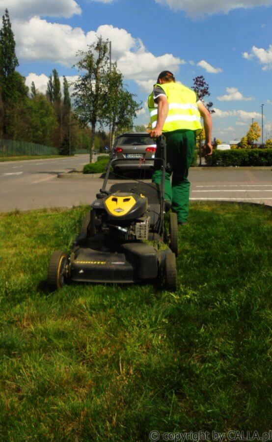 pielęgnacja CALLA 3