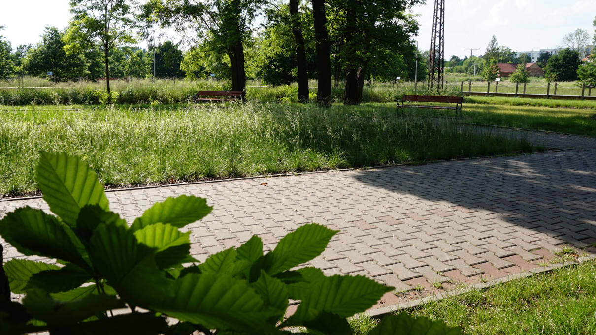 CALLA.pl_ParkPyskowice_26