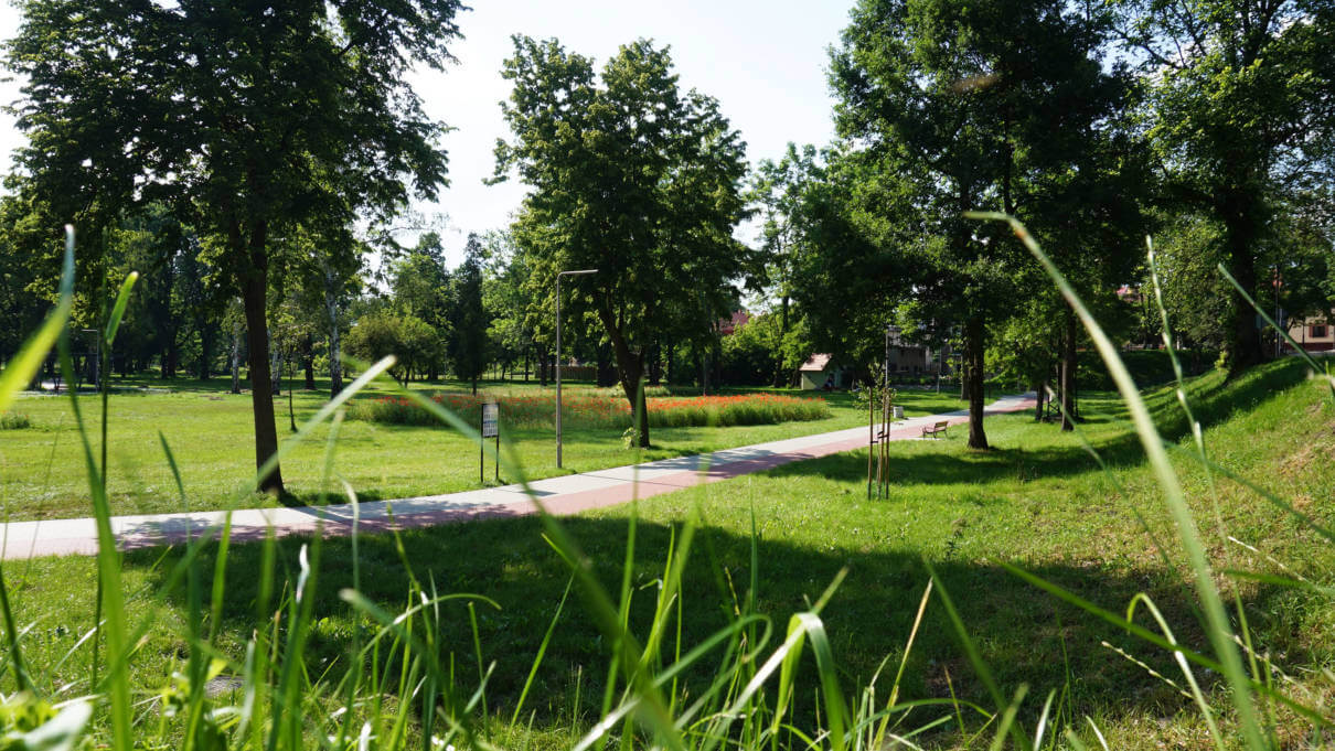 CALLA.pl_ParkPyskowice_28